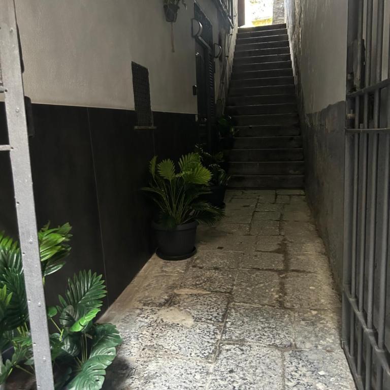 pepa's Home 2 - One-Bedroom Apartment - 8