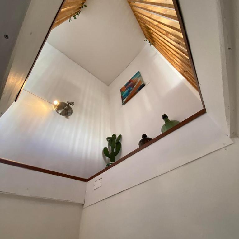 Cactu - One-Bedroom Apartment - 17