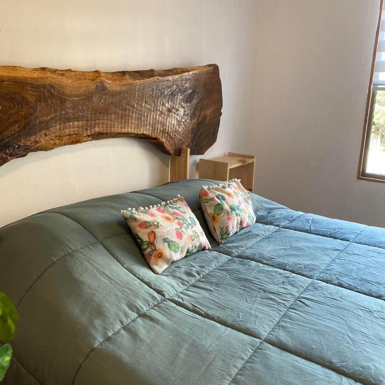 Cactu - One-Bedroom Apartment - 21