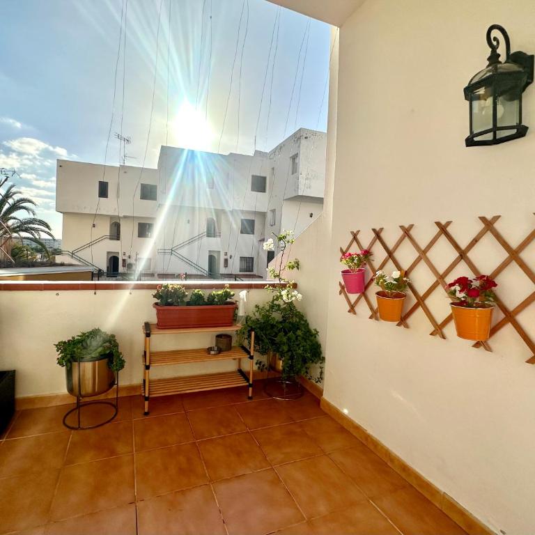 Apartment in Ocean Park II, Costa Adeje, Tenerife - Apartamento de 1 dormitorio - 17