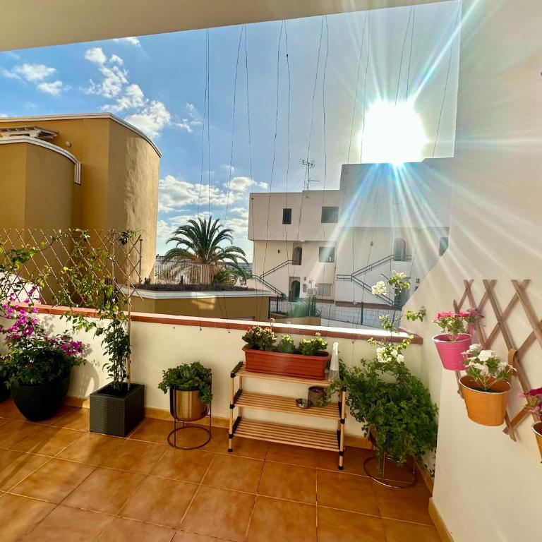 Apartment in Ocean Park II, Costa Adeje, Tenerife - Apartamento de 1 dormitorio - 16