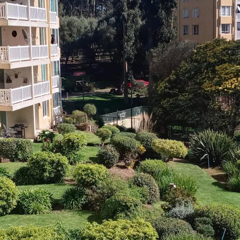 Playa y Bosque Mar , Departamento en Horcón - Two-Bedroom Apartment - 11