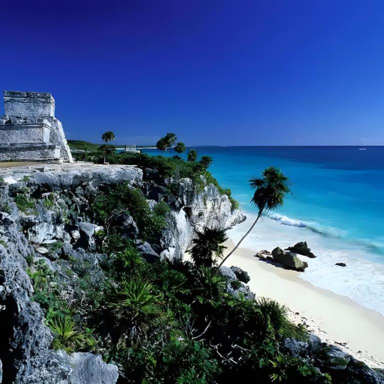 Luxury penthouse w-jacuzzi in the heart of Tulum - Two-Bedroom Apartment - 28