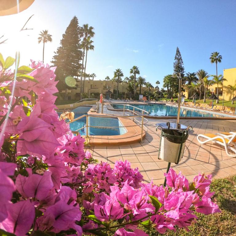 Drago 2 Atlantic Garden apartment - Apartamento de 1 dormitorio - 8