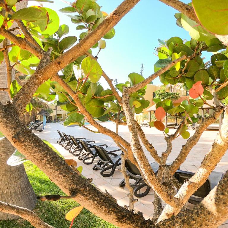 Drago 2 Atlantic Garden apartment - Apartamento de 1 dormitorio - 10