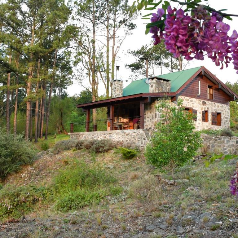 Cabaña villa alpina Mantillo de bosque - Chalet de 2 dormitorios - 7