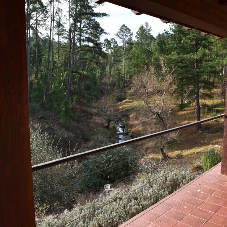 Cabaña villa alpina Mantillo de bosque - Chalet de 2 dormitorios - 44