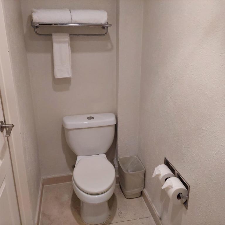 Holiday Inn Cuernavaca by IHG - Suite de 1 dormitorio - 1 cama extragrande - 4