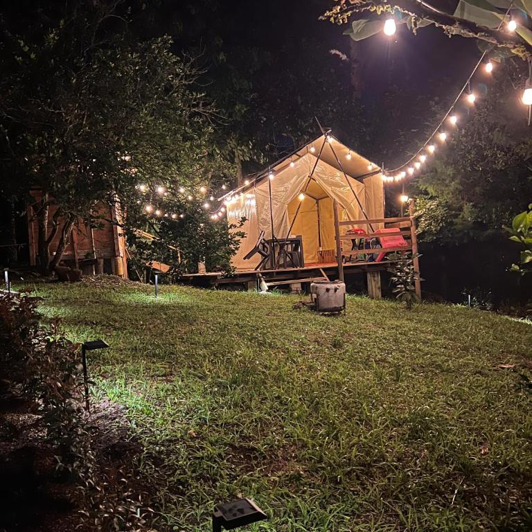 Glamping Colibrí, bosque vecino y vista a la montaña al mismo tiempo - Tienda - 9