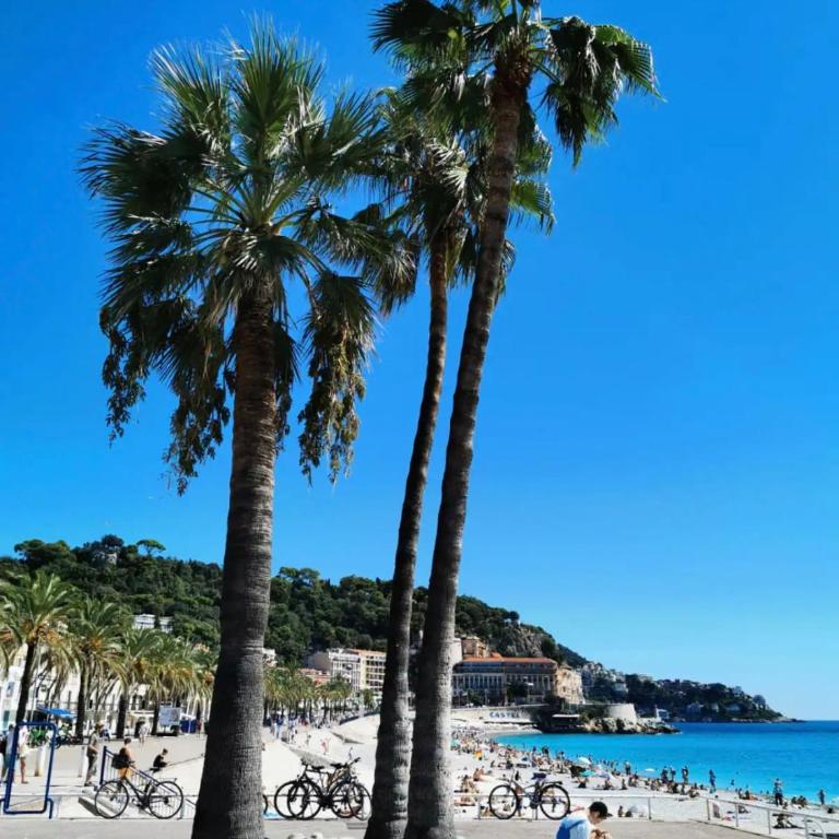 Studio au coeur du centre ville de Nice - Appartement 1 Chambre - 15