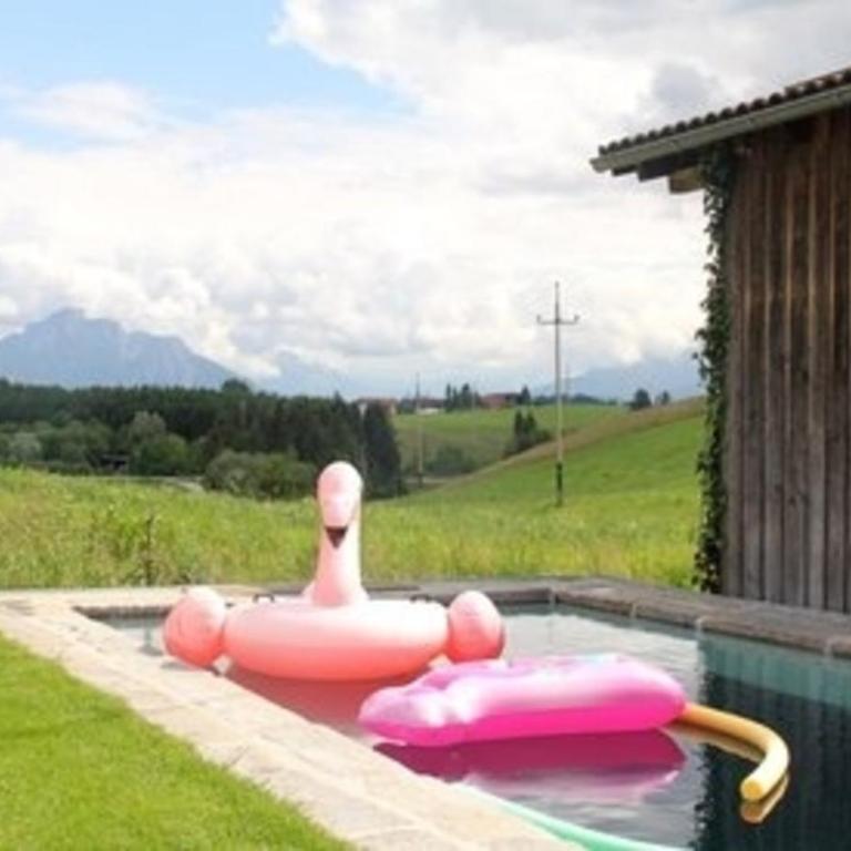Ferienwohnung Nr 1, neben einem Bauernhof, Roßhaupten, Allgäu - Apartment - 11