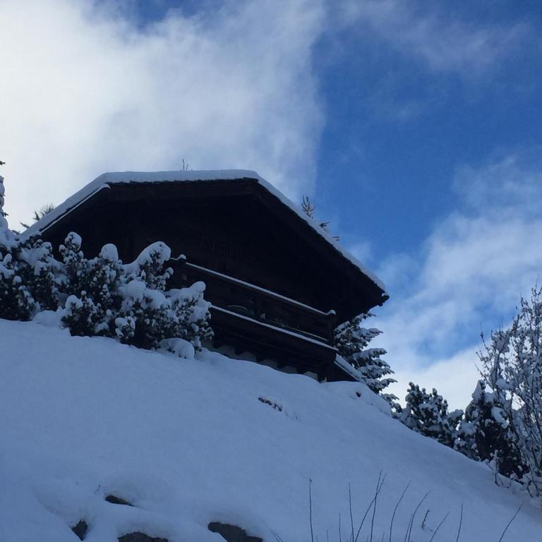 Chalet Annika - Chalet - 12