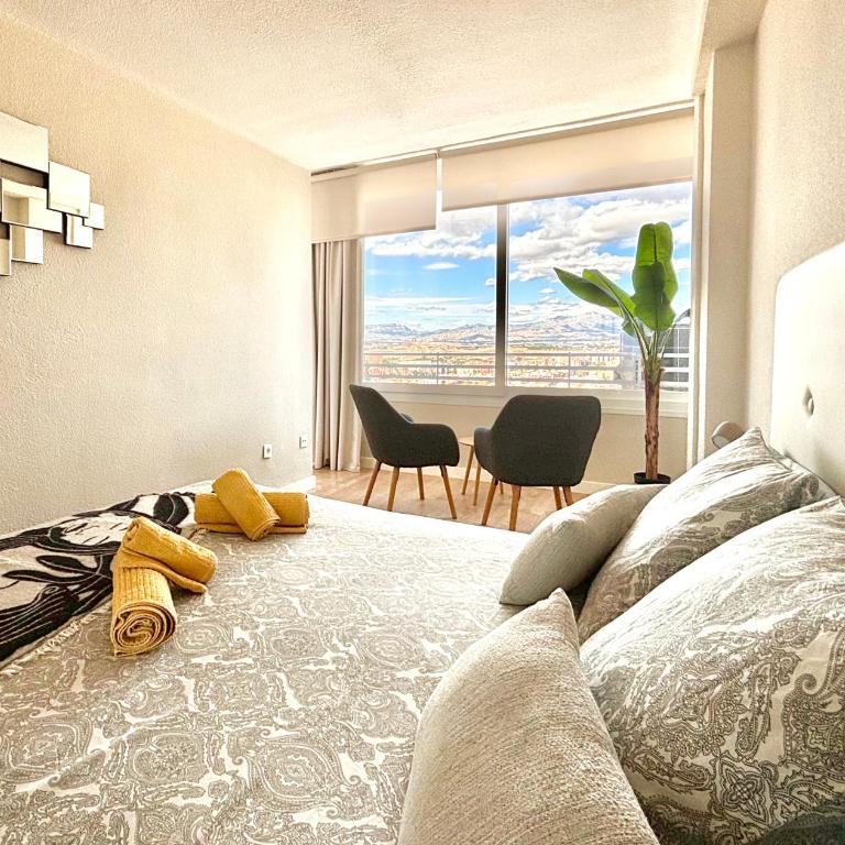 Luceros Sky - Apartamento de 1 dormitorio - 5