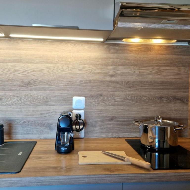 Le Flocon de Thollon - Appartement près du télécabine - Appartement 1 Chambre - 21