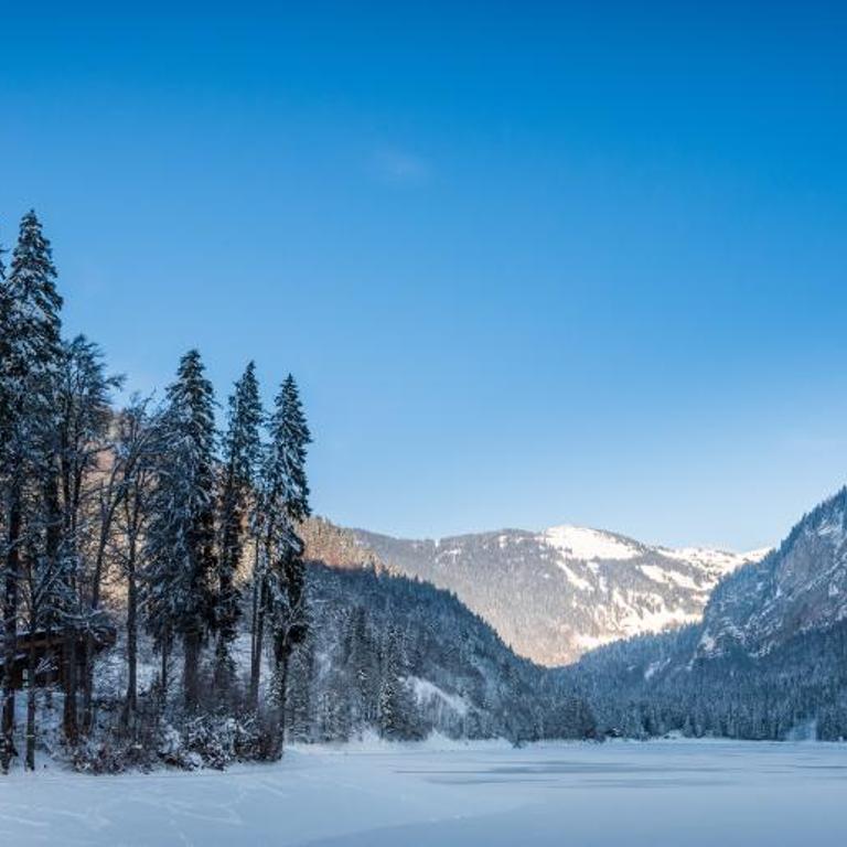 Le Petit Rêve - Lac de Montriond - Chalet 1 Chambre - 6