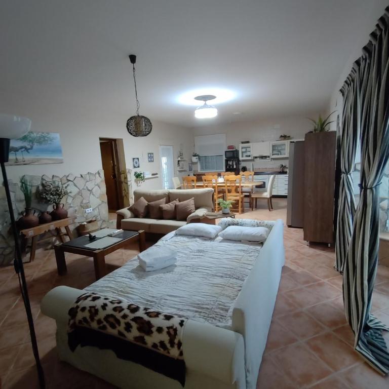 Casa-Chalet Anabel - Casa de 3 dormitorios - 13
