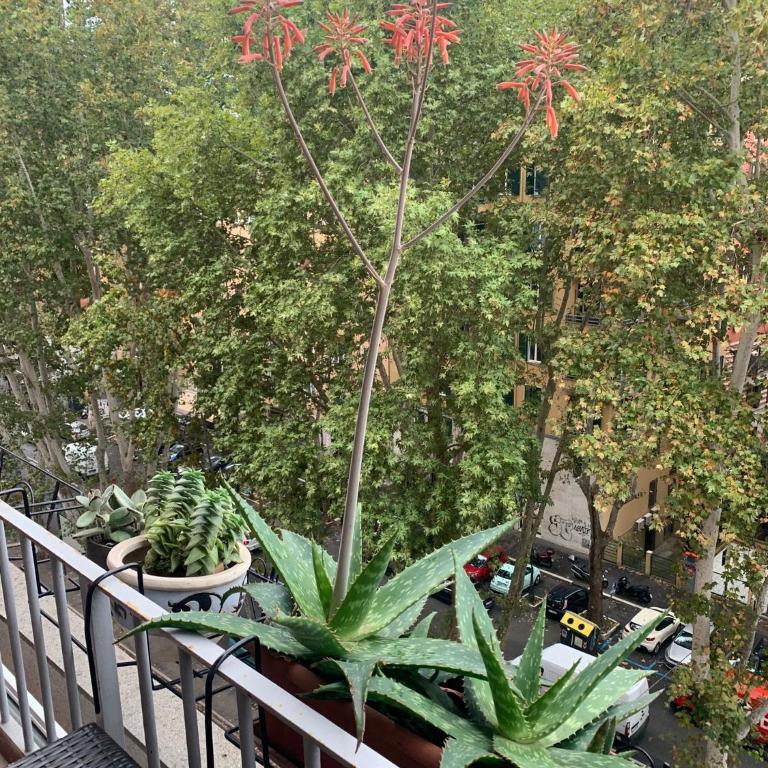 Tiziano apartment-a spacious home for you in Rome - Apartment mit Balkon - 40