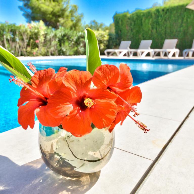 Villa Hibiscus - A modern villa for 10 guests - Villa - 40