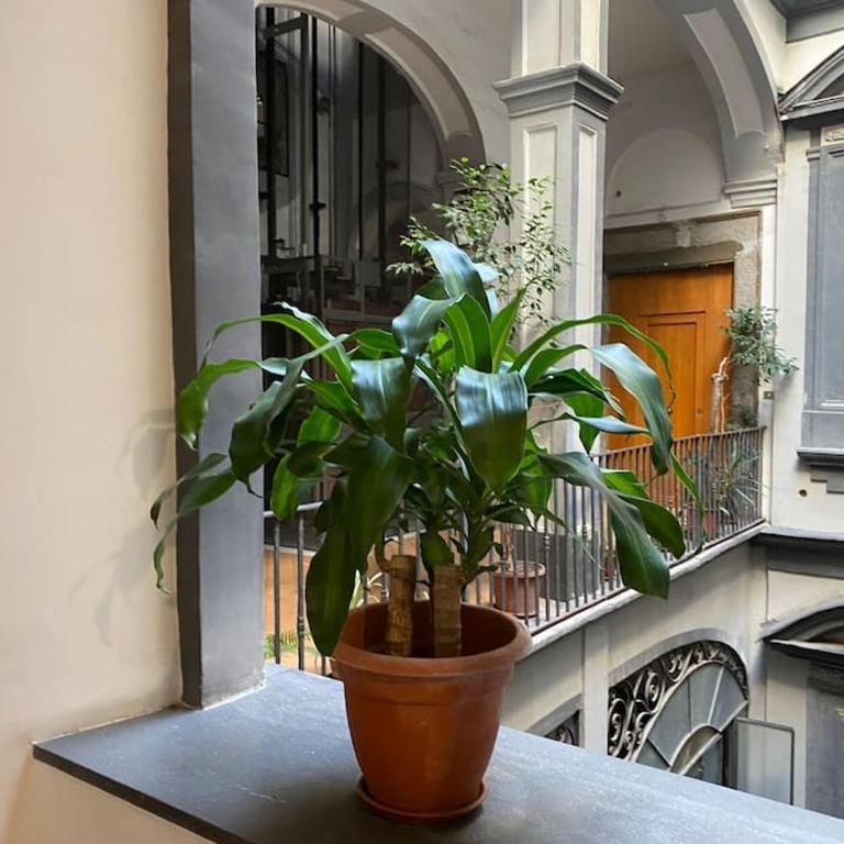 CASA SANGIÓ Appartamento nel cuore di Napoli - Appartamento con 2 Camere da Letto - 21