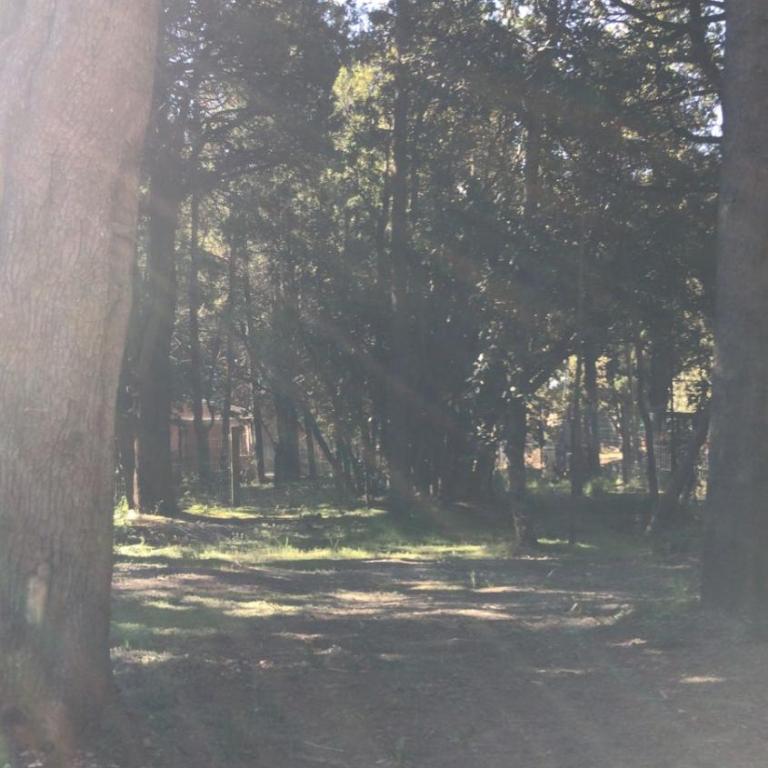 Barrancas de San benito barrio privado - Loft - 21