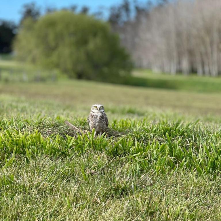Barrancas de San benito barrio privado - Loft - 25