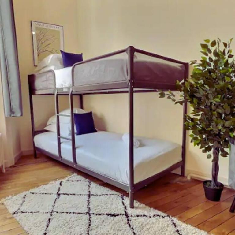 PleinCentre 4ch 2sdb 9p Angers St Denis - Appartement - 6