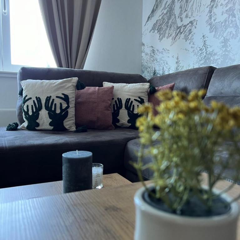 Apartman Snow Valley Jahorina - One-Bedroom Apartment - 23