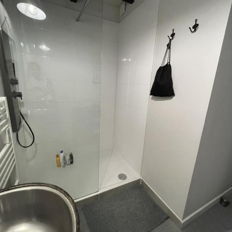 Loft Royal des Promenades - Appartement 2 Chambres - 22