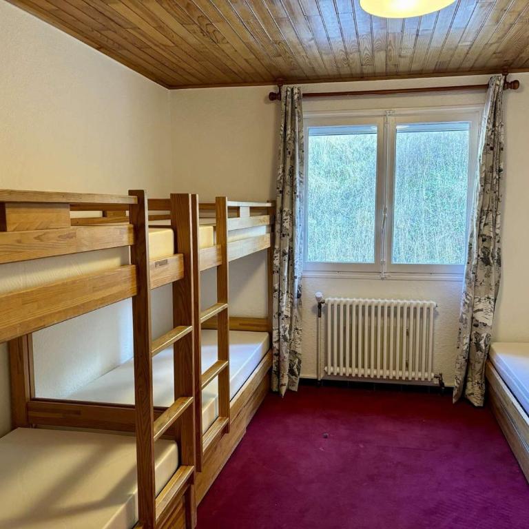 Spacieux appartement 8 pers, balcon sud, télésiège à 150m, animaux acceptés - Vieil Alpe - Appartement 3 Chambres - 11