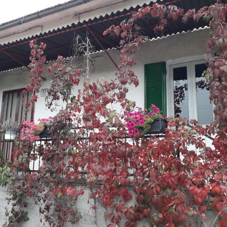 Casa al Vantaggio - Casa con 2 Camere da Letto - 14