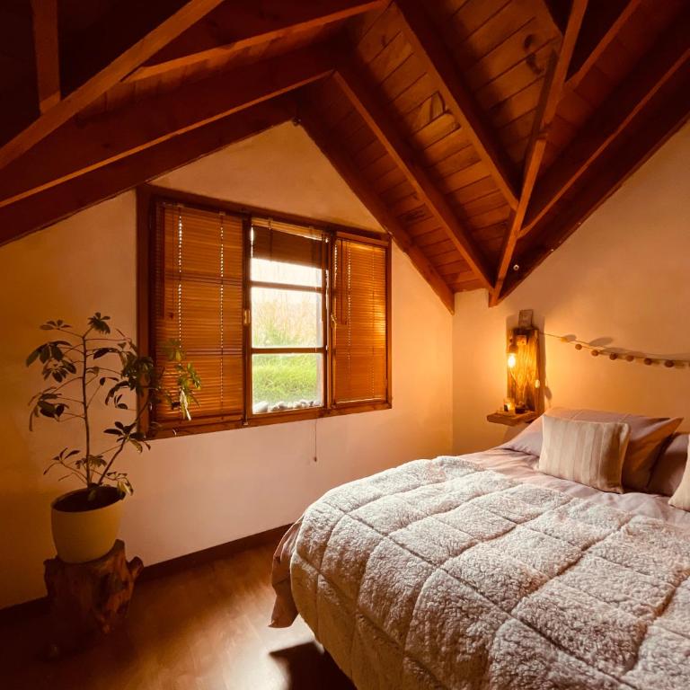 B&B Casa Nómada - Habitación Doble Estándar con baño compartido - 4