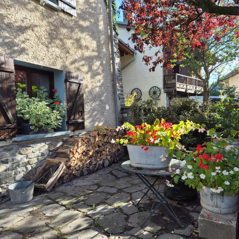 Le nid montagnard - Vulmix - Maison 4 Chambres - 35