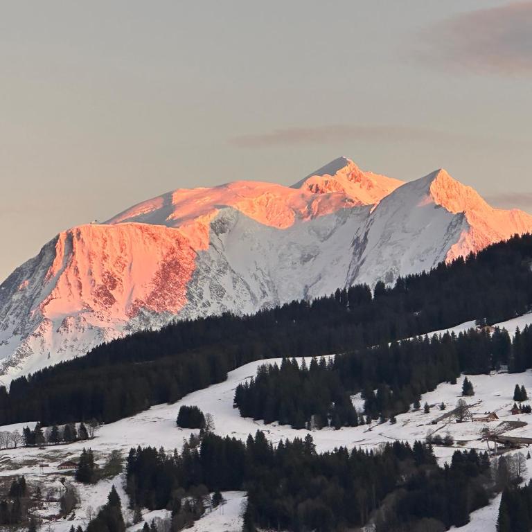 Chalet à Megève-Vauvray - Grands Appartements , vue Mont Blanc - Appartement - 31