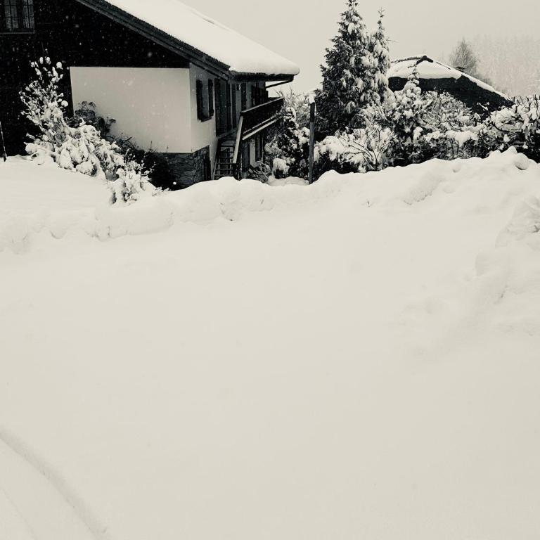 Chalet à Megève-Vauvray - Grands Appartements , vue Mont Blanc - Appartement - 34
