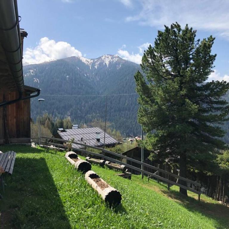 LA VOCE DEL BOSCO Selva di Cadore - Chalet con 1 Camera da Letto - 2