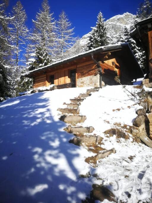 LA VOCE DEL BOSCO Selva di Cadore - Chalet con 1 Camera da Letto - 11