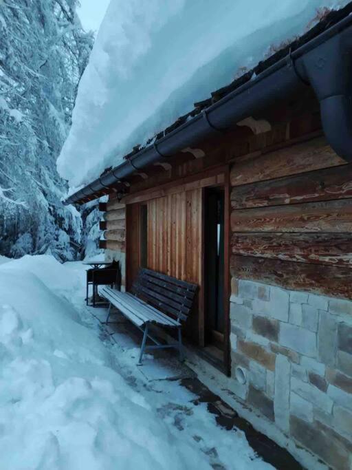 LA VOCE DEL BOSCO Selva di Cadore - Chalet con 1 Camera da Letto - 12