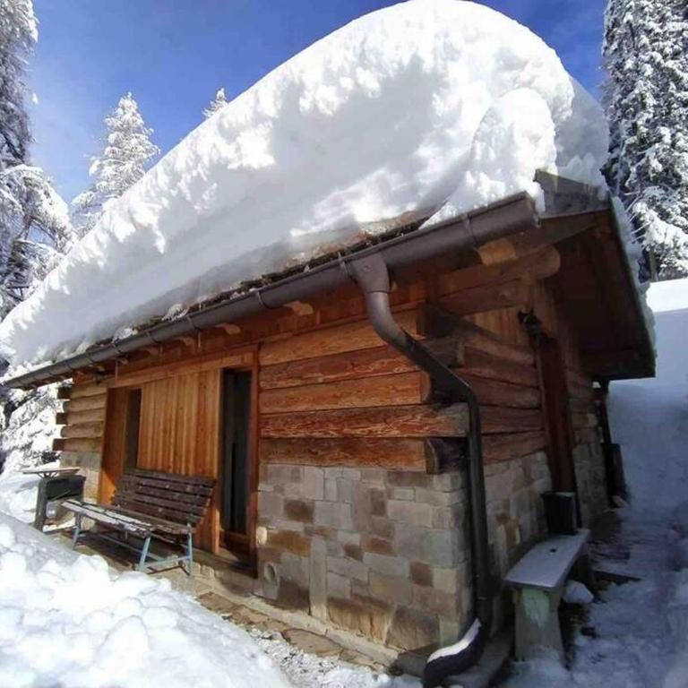 LA VOCE DEL BOSCO Selva di Cadore - Chalet con 1 Camera da Letto - 15