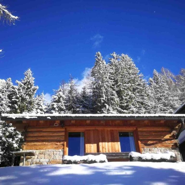 LA VOCE DEL BOSCO Selva di Cadore - Chalet con 1 Camera da Letto - 21