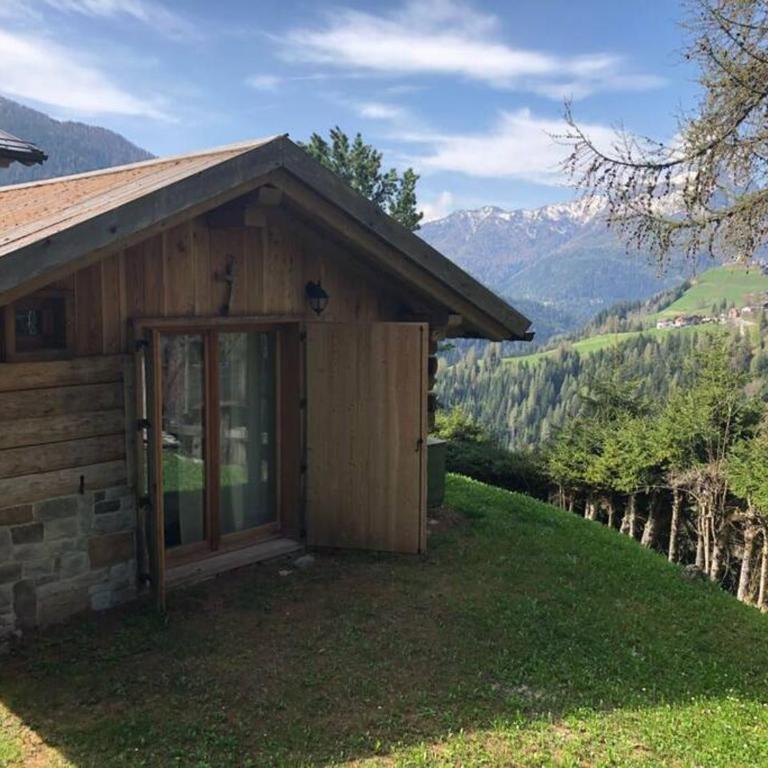 LA VOCE DEL BOSCO Selva di Cadore - Chalet con 1 Camera da Letto - 23