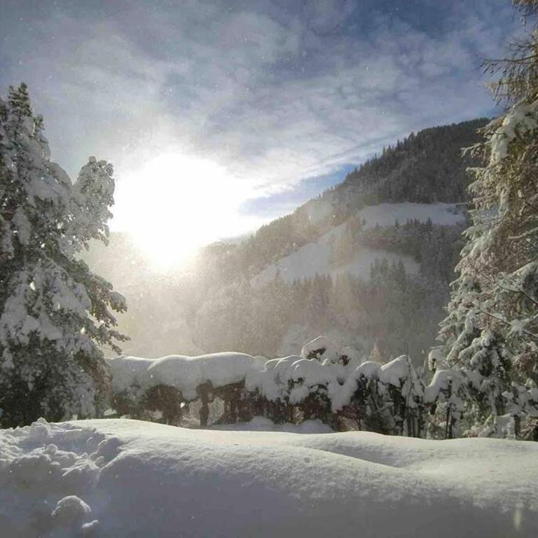 LA VOCE DEL BOSCO Selva di Cadore - Chalet con 1 Camera da Letto - 30