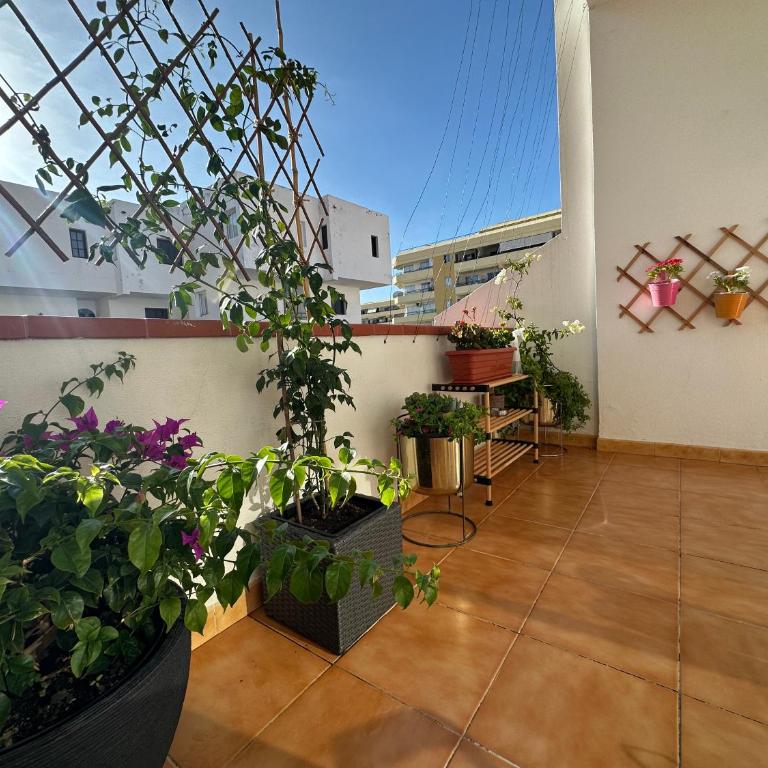 Apartment in Ocean Park II, Costa Adeje, Tenerife - Apartamento de 1 dormitorio - 15