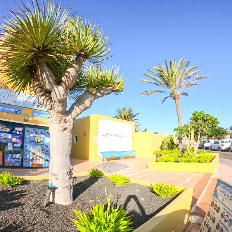 Drago 1 Atlantic Garden apartment - Apartamento de 1 dormitorio - 45