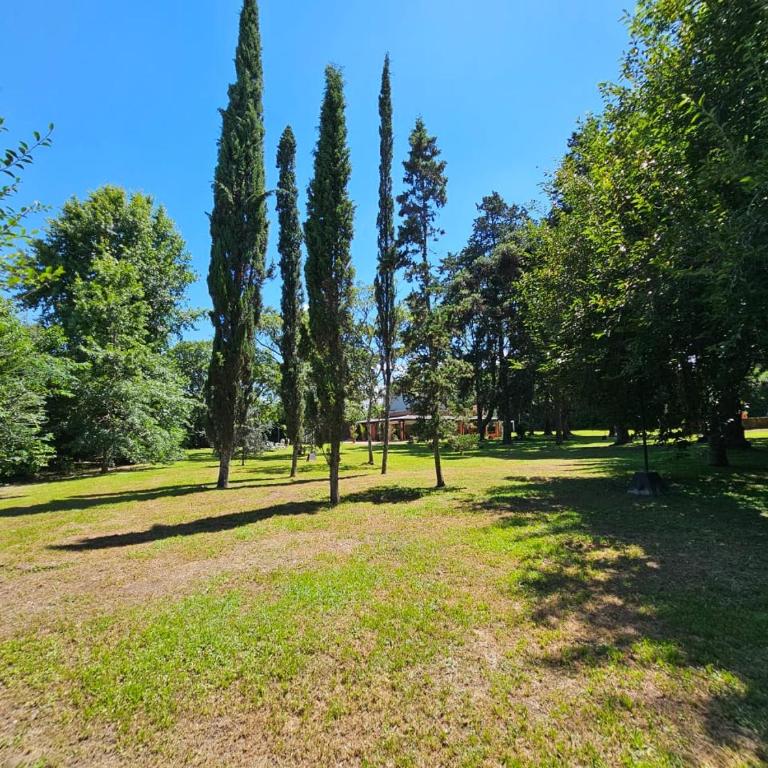 Villa Arbolada - Casa de 3 dormitorios - 63