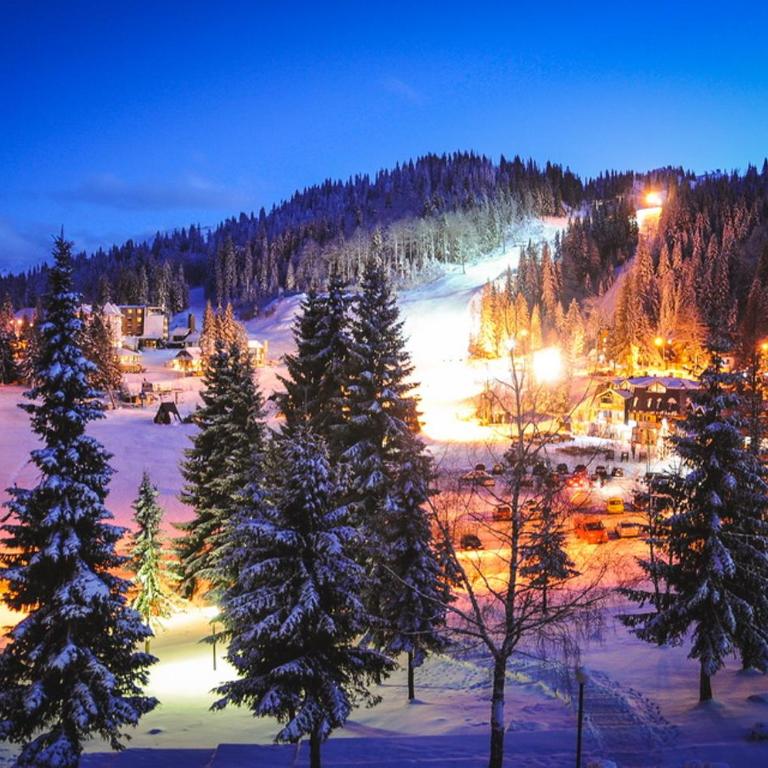 Apartman Jahorina D239 Vucko privatni apartman - Apartman sa 1 Spavaćom Sobom - 11