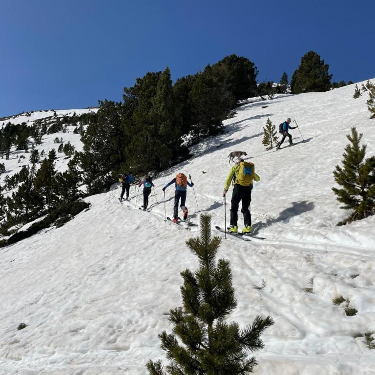 Lujoso Refugio Tradicional de Montaña - Chalet Supérieur - 55
