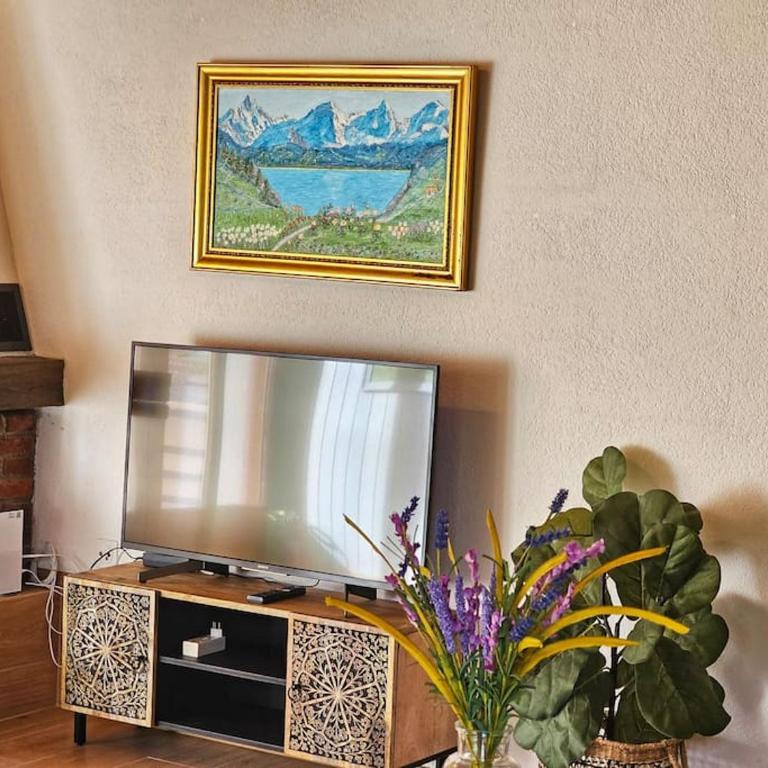 Sawasdee Jungfrau Apartment - Apartment mit 1 Schlafzimmer - 14