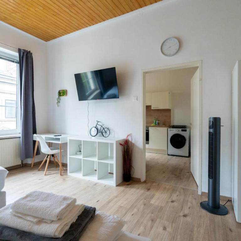 Stilvolle Stadtwohnung in Leoben - Apartment mit 1 Schlafzimmer - 6