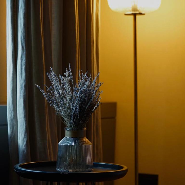 Mormoraia - Suite - 7