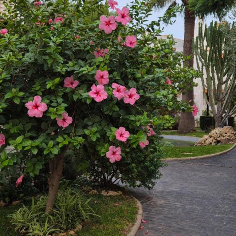 Green Oasis - Vacation Home - 15